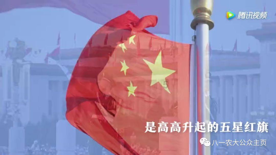 金融助企 破浪前行