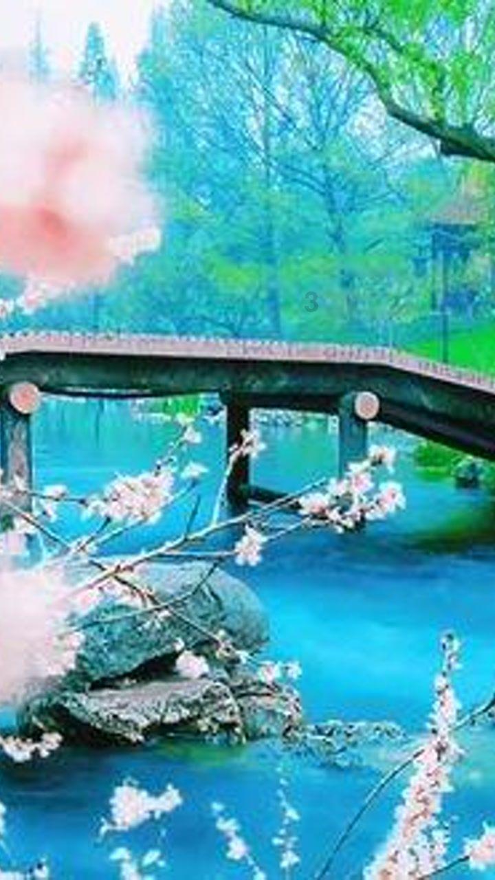 精准的神枪手
